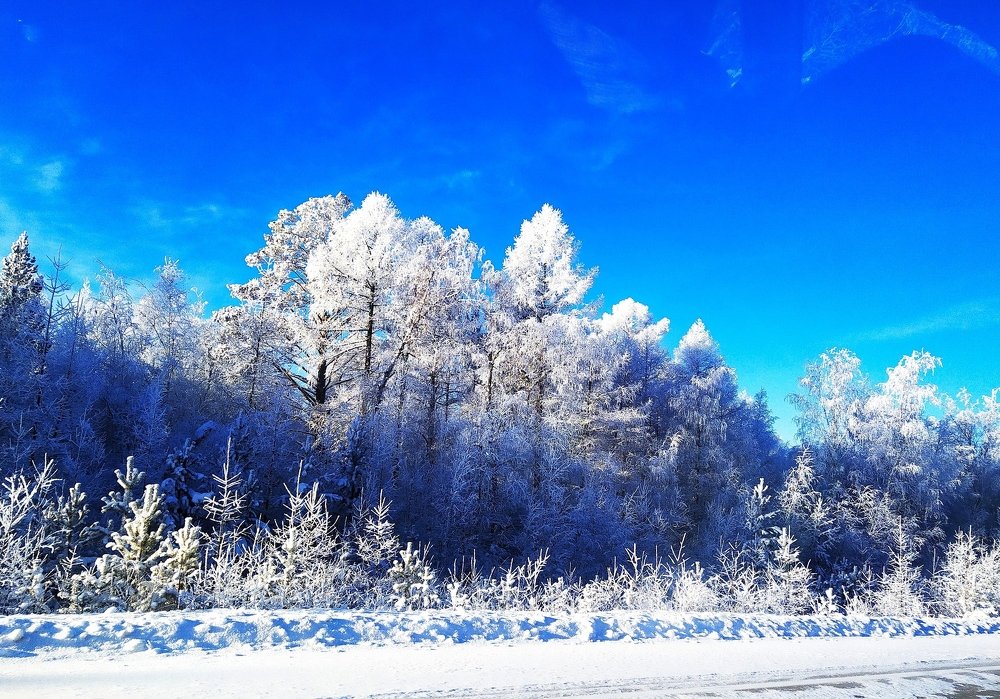 Photograph by Любовь Осипова