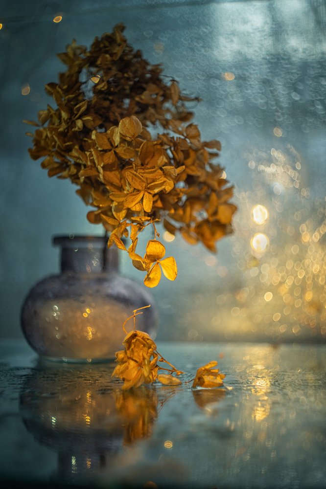 Photograph by Виктория Семернова