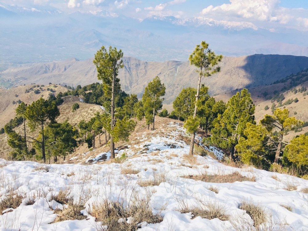 Photograph by Wisal Sajad Ali