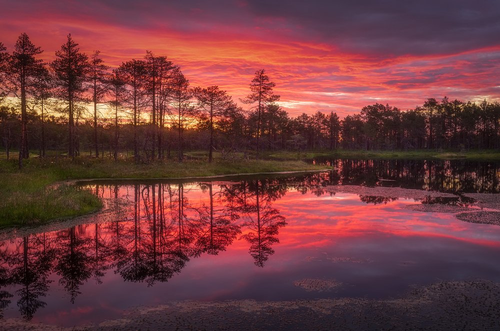 Photograph by Элвис Антсон