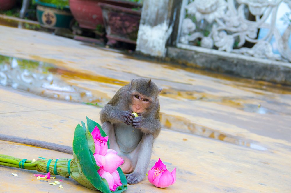 Photograph by Михаил