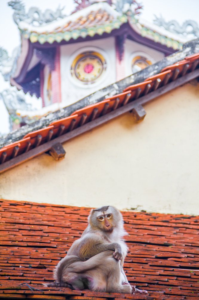 Photograph by Михаил