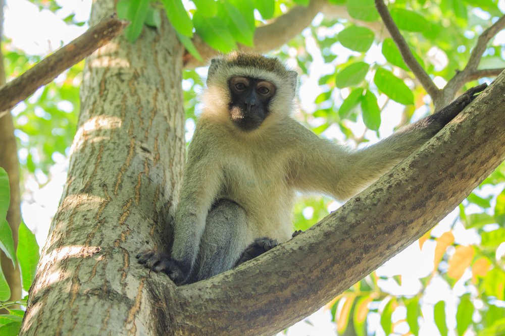 Photograph by Михаил