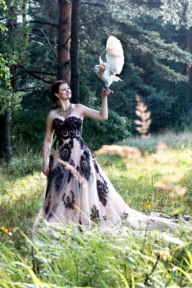 Совы не те, кем кажустя