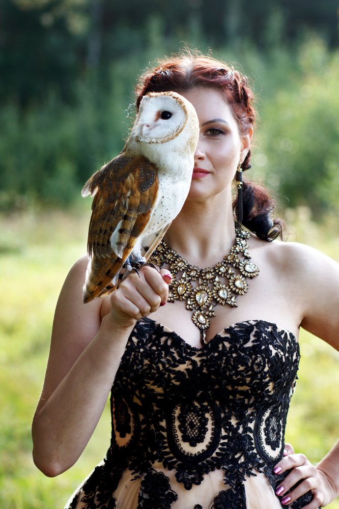 Лето в лесу