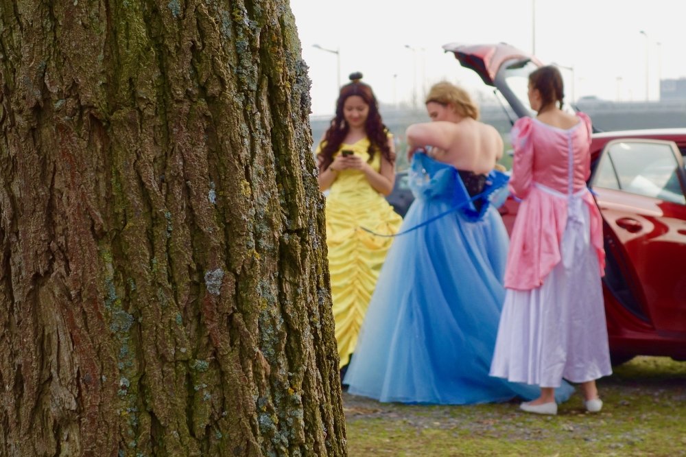 21th century princesses