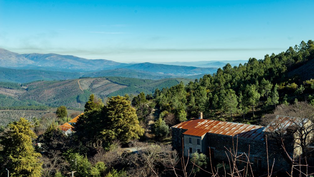 Photograph by ana correia