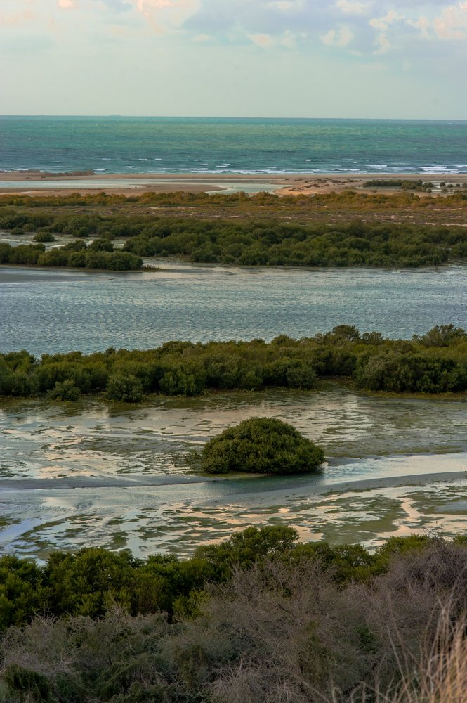 Photograph by ana correia