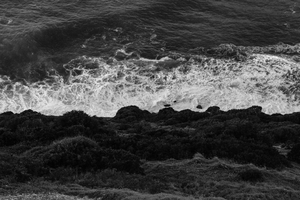 Photograph by ana correia