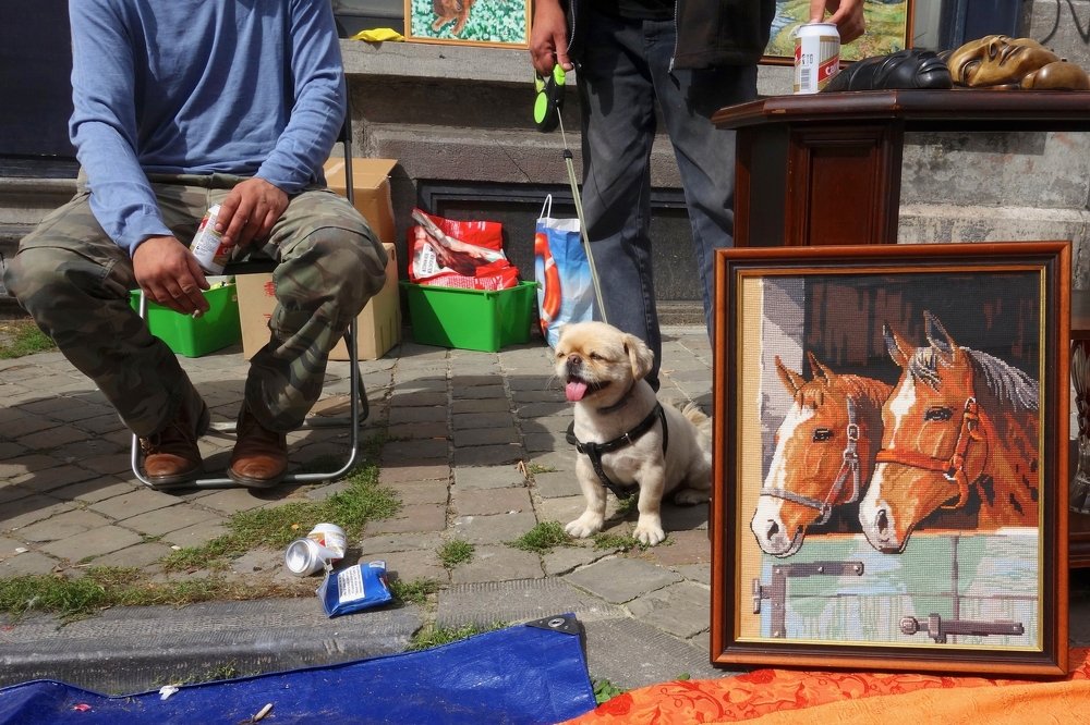 Photograph by Marino-Smette Pierre