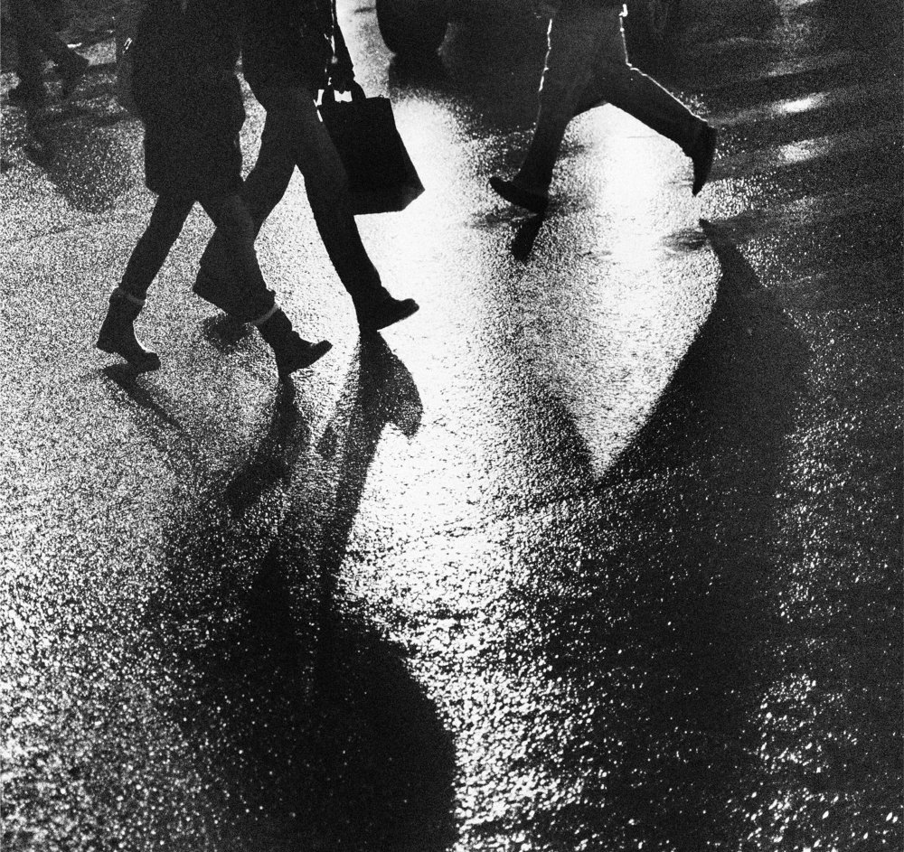 Птицы из асфальта