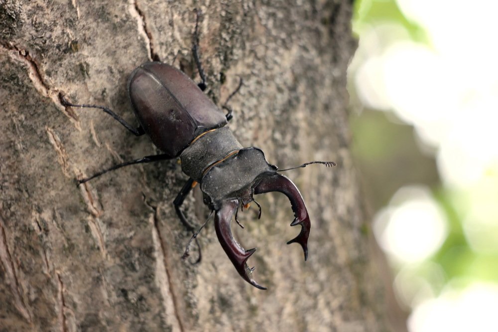 Photograph by Ольга Белостоцкая