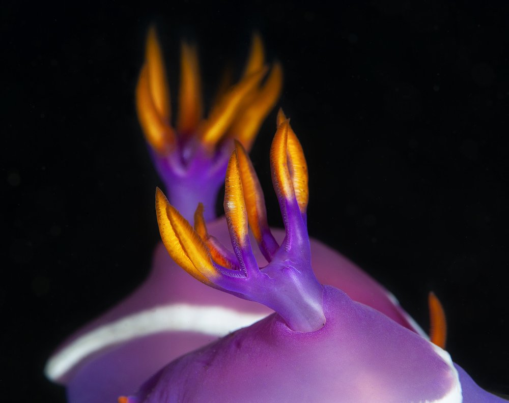 Фотография автора Нарчук Андрей