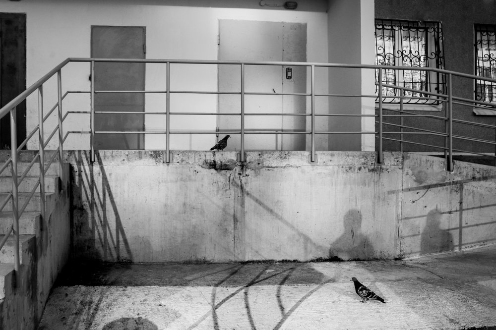 Photograph by Татьяна Егорова