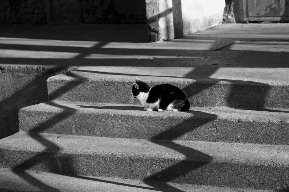 Photograph by Дмитрий Сырбу