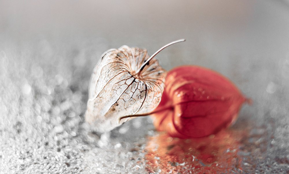 Photograph by Александра Печёнкина