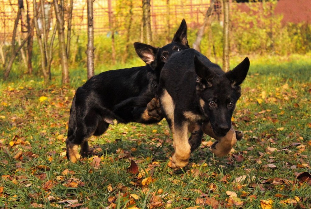 Photograph by Анастасия Рысь
