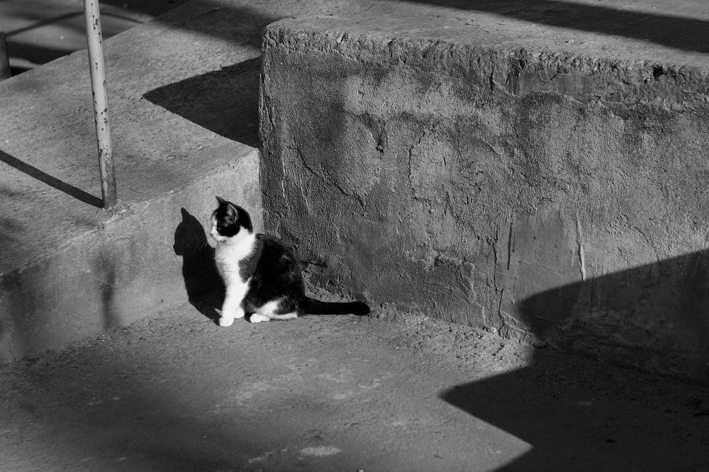 Photograph by Дмитрий Сырбу