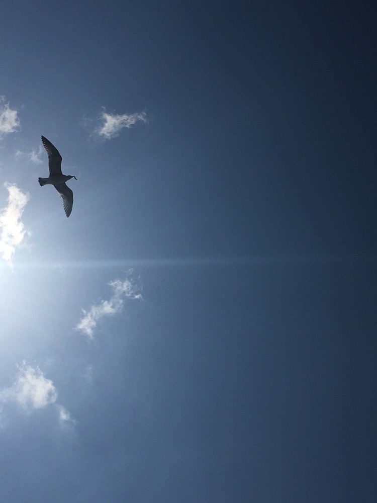 Photograph by Екатерина Толкунова