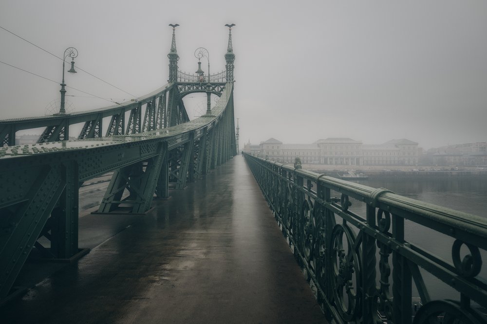 Туманный Будапешт