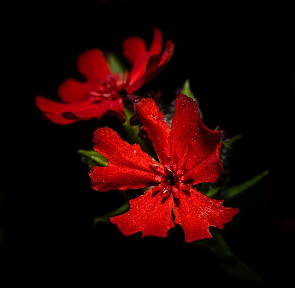 Photograph by Martynas Alejunas