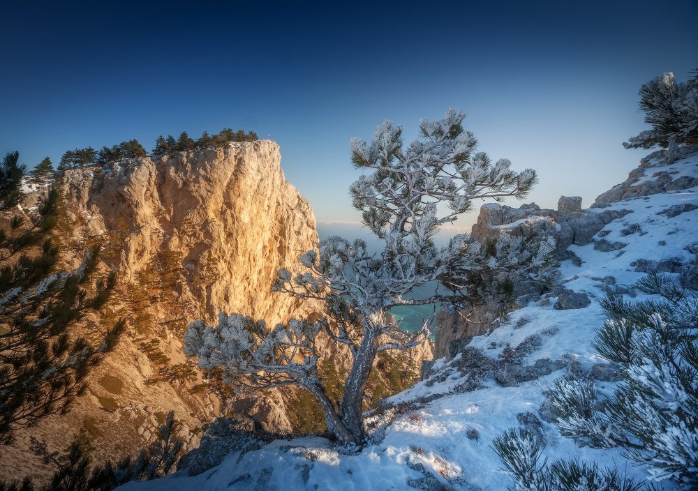 Photograph by Михаил Гапонов