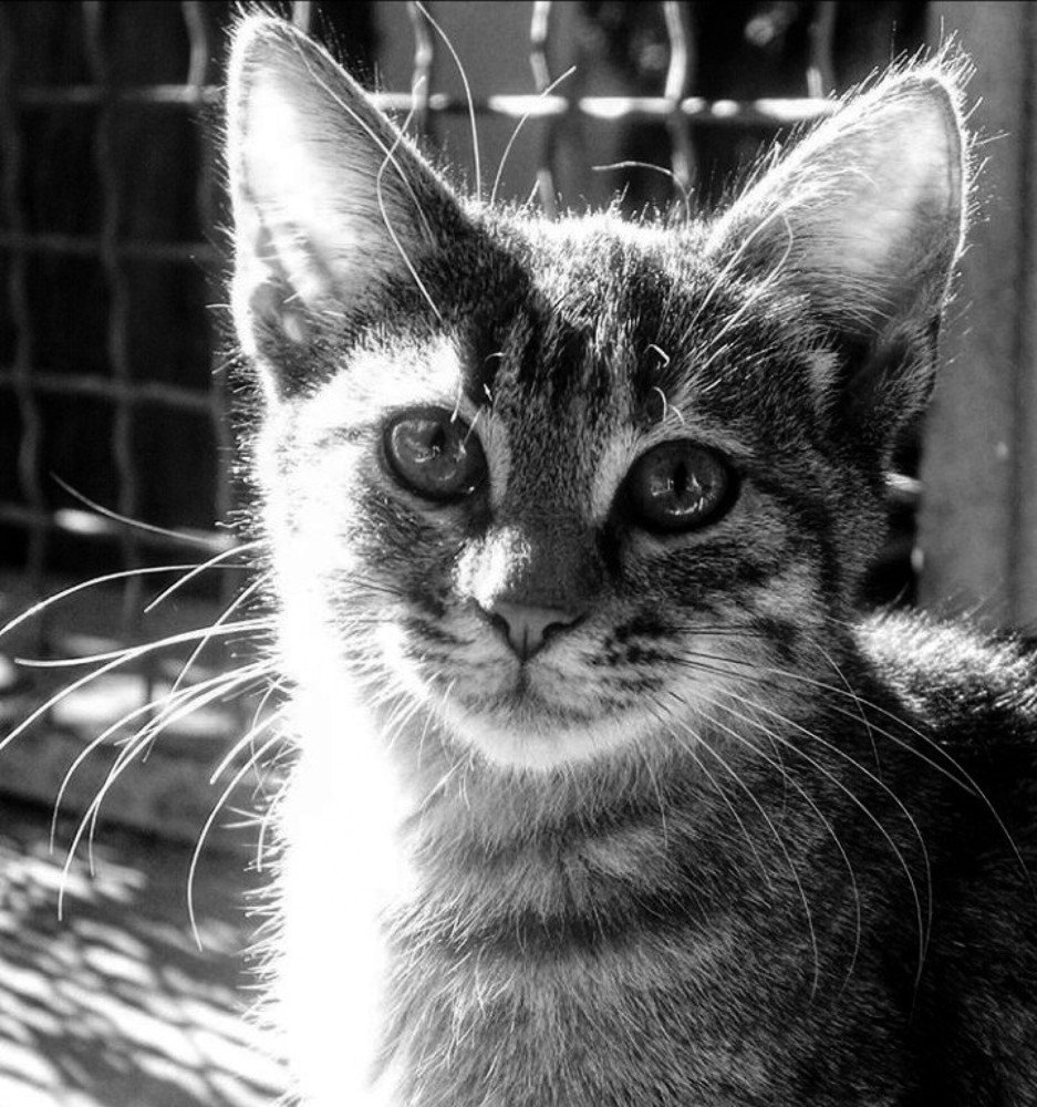 Фотография автора Валентина Рихмаер