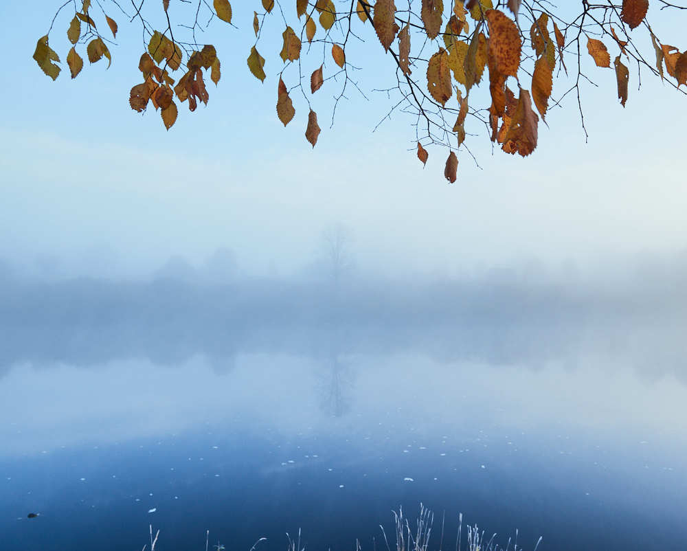Фотография автора Сергей Овчинников