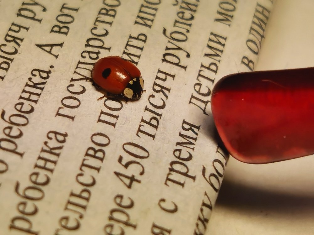 Photograph by Александр Костин