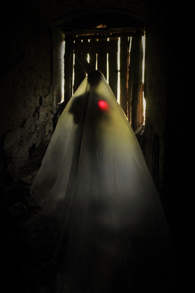 Photograph by Юлия Шибаева