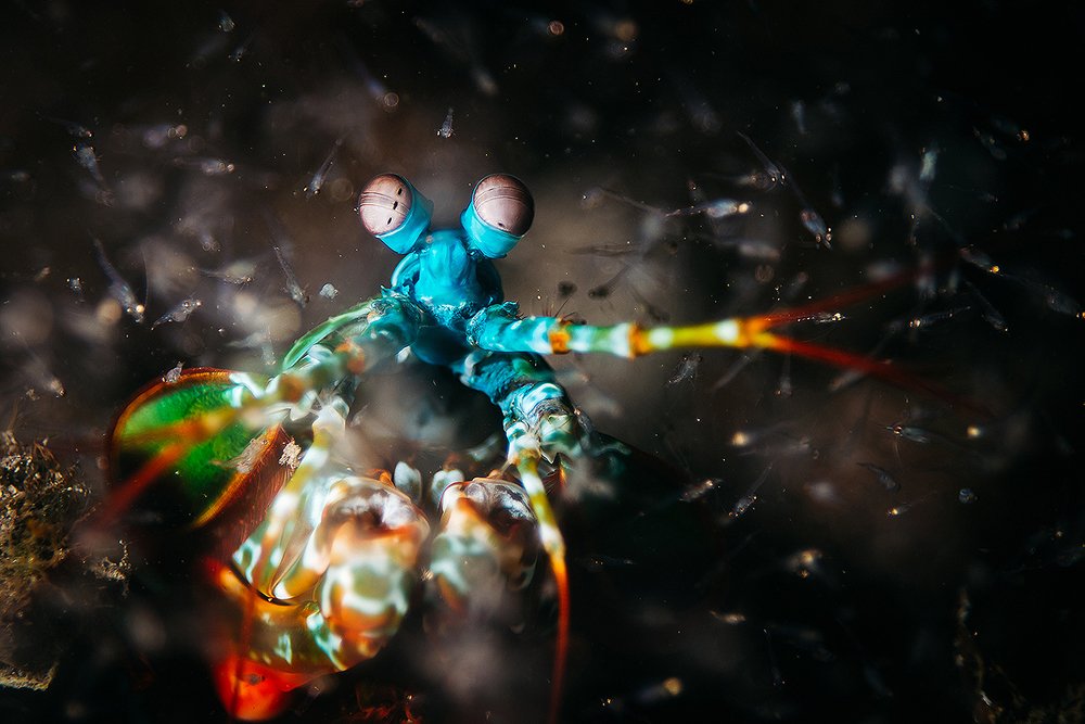 Я тучи разгоню руками