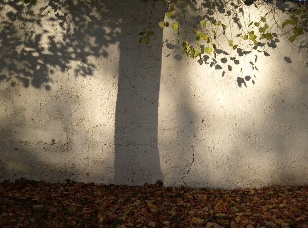 Photo #4213044