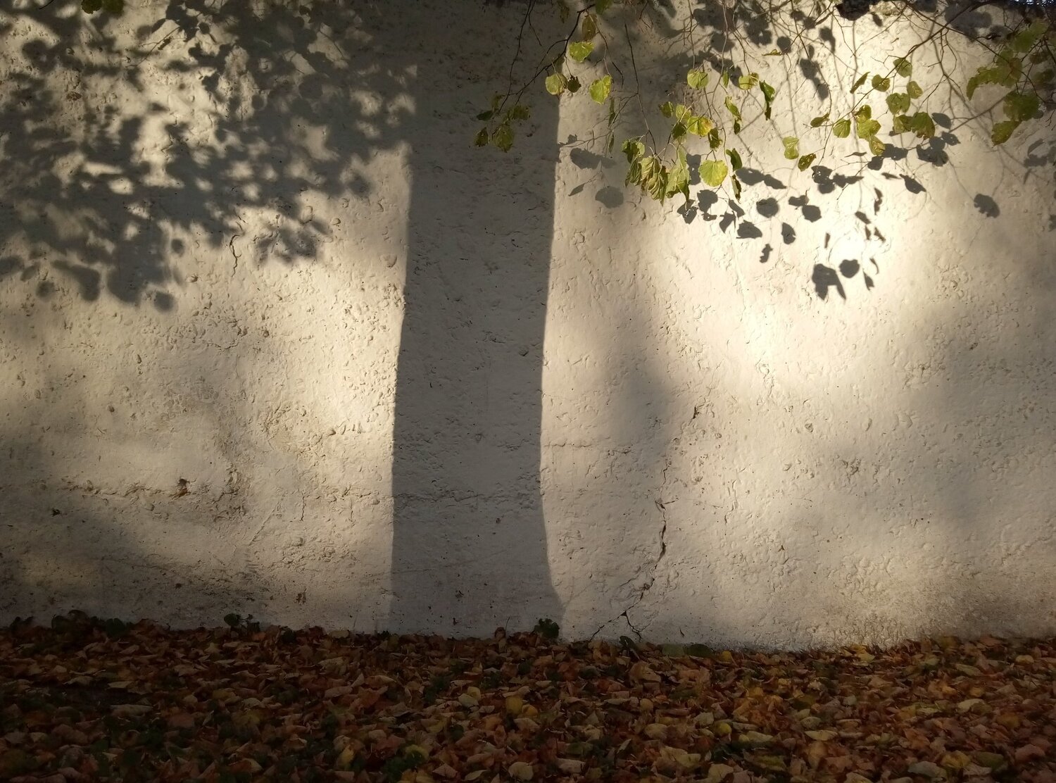 Photo #4213044