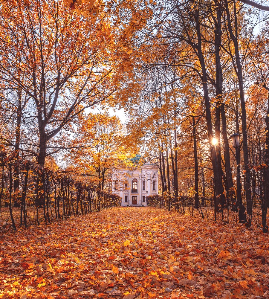 Photograph by Анастасия Мазурева