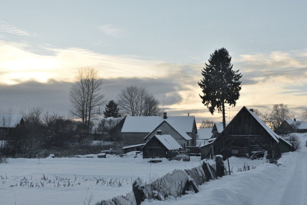 Photograph by Светлана Агапова