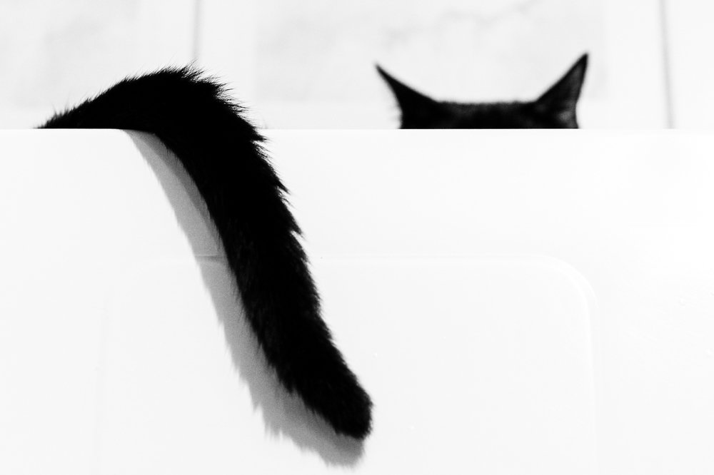 Photograph by Lucimara Rodrigues