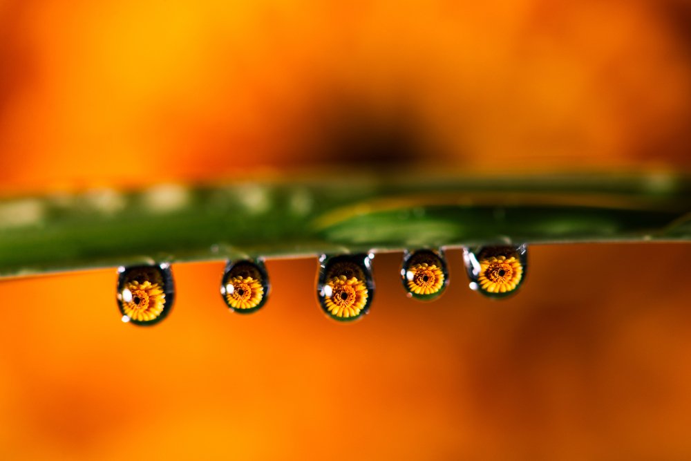 Photograph by Алексей Карпинчик