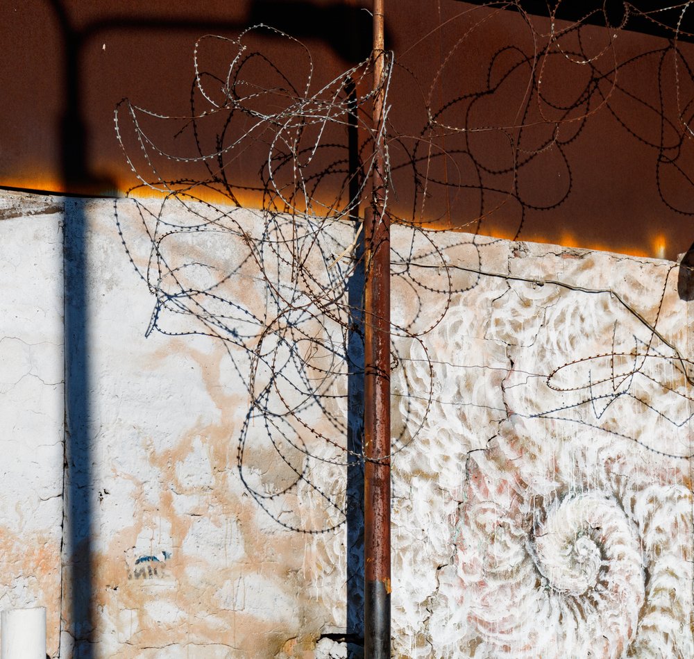 Photograph by Ирина Соболева