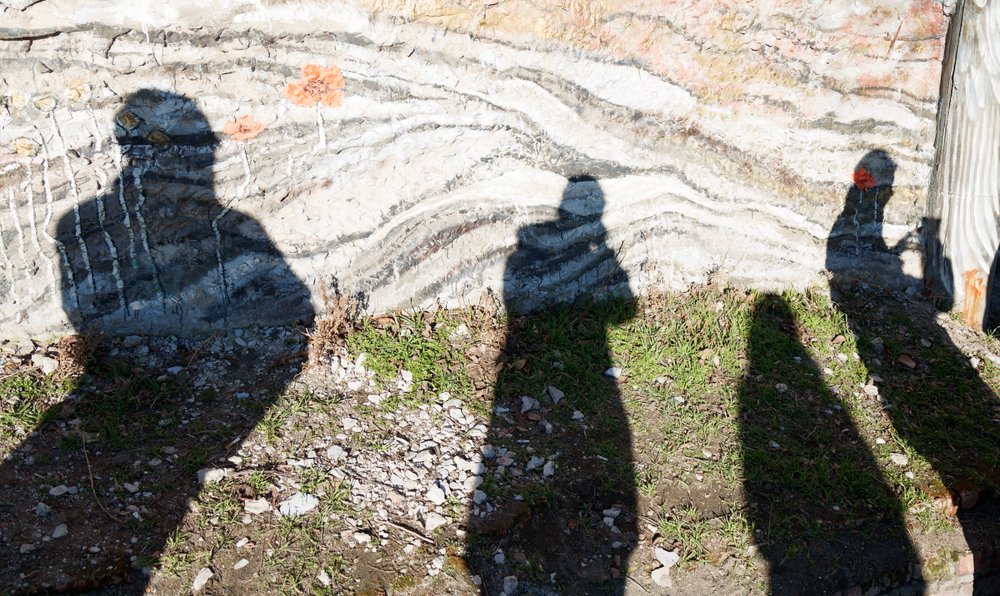 Photograph by Ирина Соболева