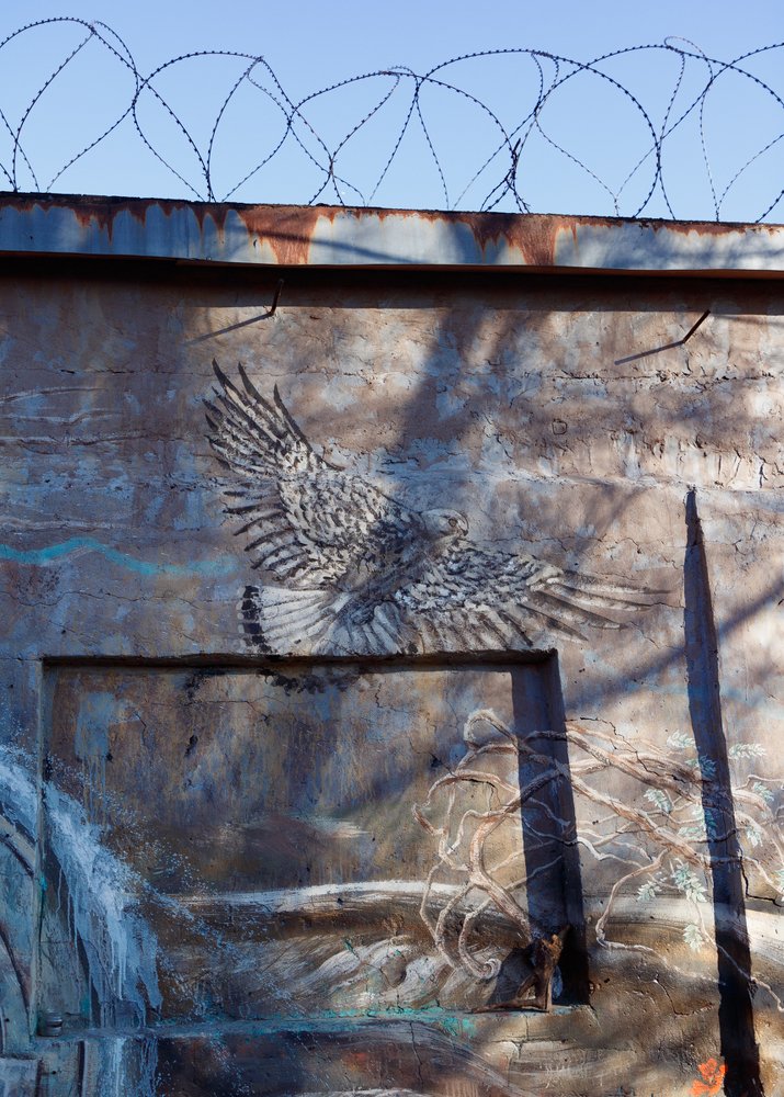 Photograph by Ирина Соболева