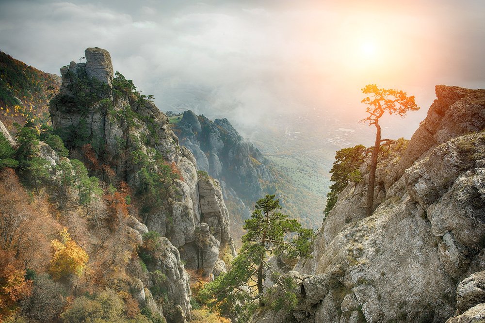 Photograph by Виталий