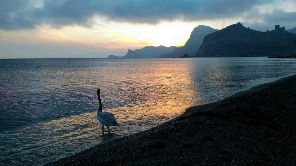 Одиночество