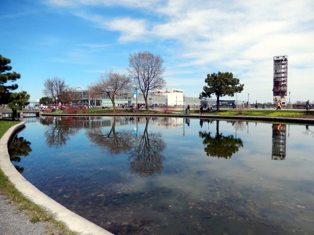 Photograph by Sylvie D.