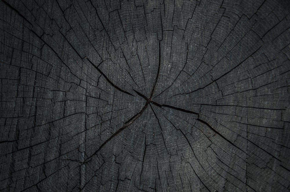 Photograph by Евгений Борисов