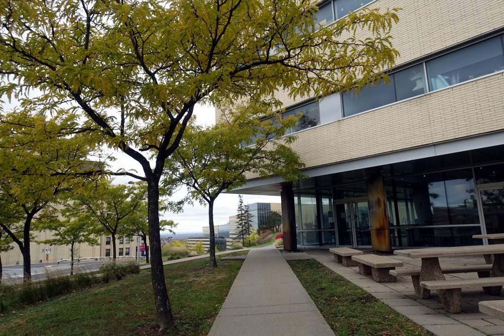 Photograph by Sylvie D.