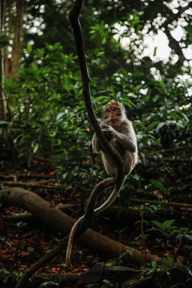 Photograph by Vahan Amatunyan