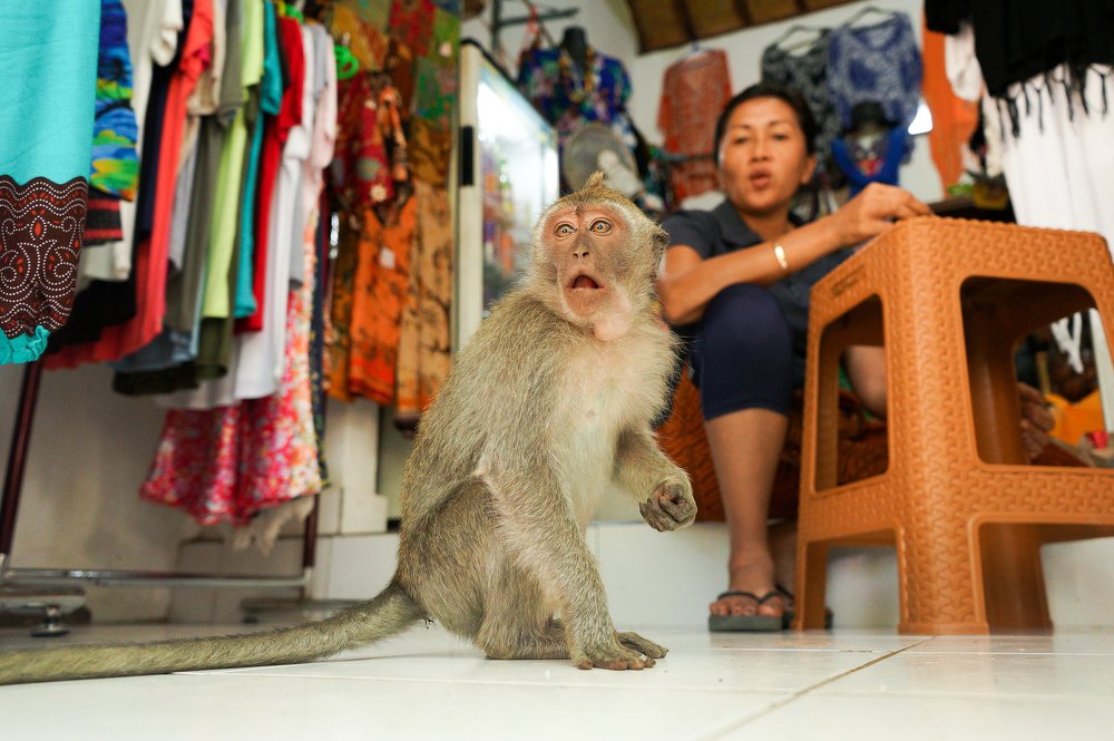 Photograph by Артём Исаев