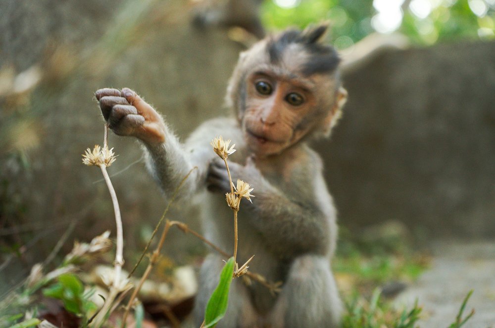 Photograph by Артём Исаев