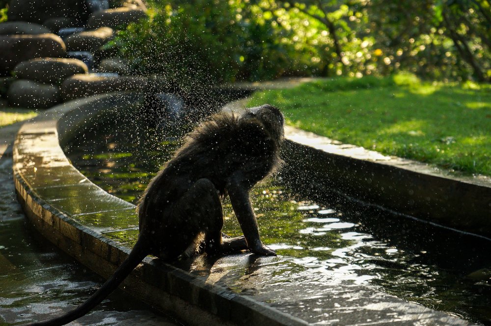 Photograph by Артём Исаев