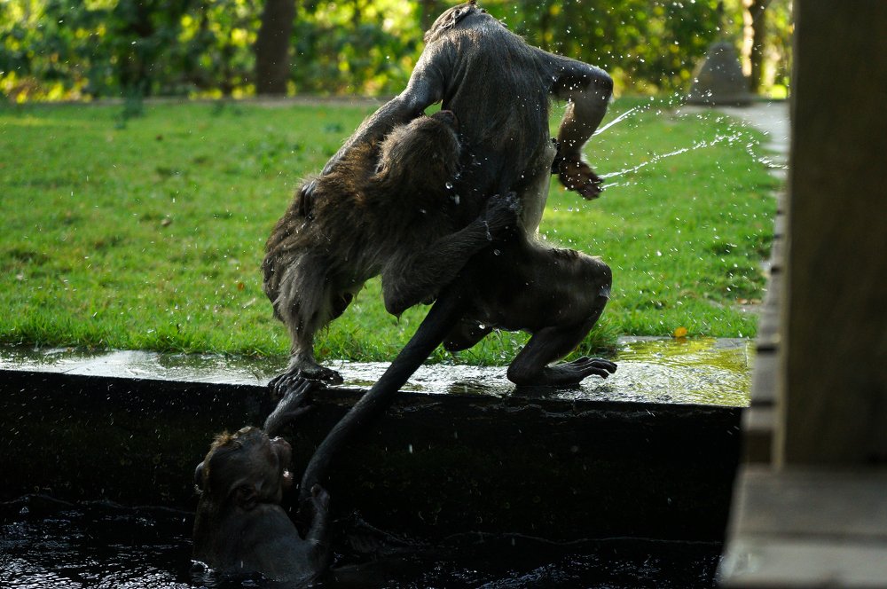 Photograph by Артём Исаев